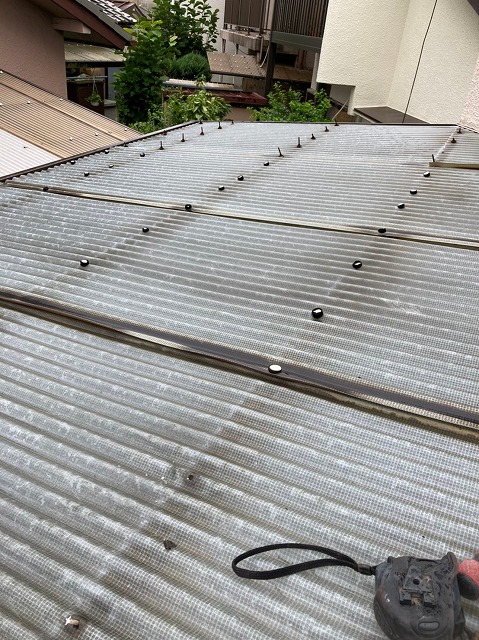 留め具の並びと屋根面の一体感